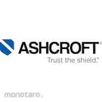 ASHCROFT Flanged Thermowell