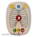 FSI CPR Training Aid