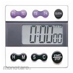 GLXYlab 4 Channel Timer