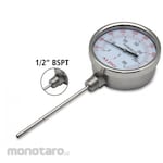 ALDO Thermometer Lurus