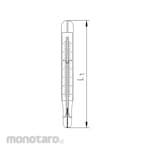 Ludwig Schneider Sterilisation Maximum Thermometer