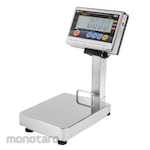 ISHIDA WP Platform Scale