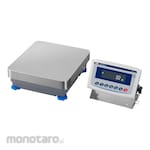 AND GF/X-L Series High Capacity Precision Balance