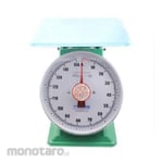 TORA Scale Spring Green Color Embos