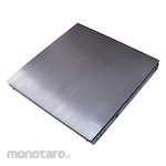 ACIS Stainless Steel Floor Scales
