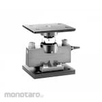 CAS Double Shear Beam without Upper + Lower plate