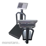 Capasito Digital Platform Scale