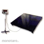 Excellent Scale Floor Scale Single Frame