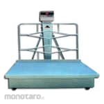 Excellent Scale Hybrid Scale Big Size