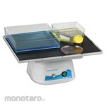 Benchmark Scientific Benchrocker Variable 2D Rocker