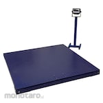 ACIS Mild Steel Floor Scale