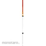 STS Detector slide scale