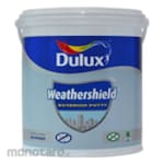 Dulux Putty