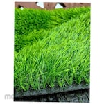 SIGMA Synthetic Grass Swiss Premium 3cm (Rumput Sintetis)