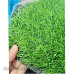 SIGMA Synthetic Grass Swiss Standard 2cm (Rumput Sintetis)