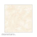 ARWANA Best Deal Regular Floor Tiles 1m2 (Keramik Lantai)