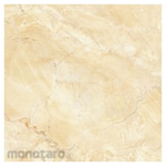Asia Tile Falcon Series Floor Ceramic 50x50 (Keramik Lantai)