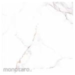 Asia Tile Firenze Series Floor Tile 50x50 (Keramik Lantai)