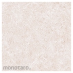 Asia Tile Fontana Series Floor Tile 50x50 (Keramik Lantai)