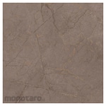 Asia Tile Frankfurt Series Floor Tile 50x50 (Keramik Lantai)