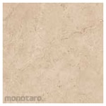 Asia Tile Frontier Series Floor Tile 50x50 (Keramik Lantai)