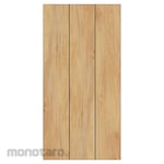 Asia Tile Gamma Embossed Series Floor Tile 20x40 (Keramik Lantai)