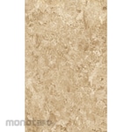 Asia Tile Keramik Dinding 25x40 Evora Series (Keramik Dinding)