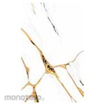 Asia Tile Keramik Lantai 25x25 Eterna Series