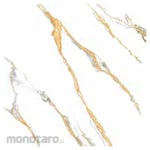 Asia Tile Keramik Lantai 50x50 Felora Series