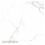 Asia Tile Keramik Lantai 50x50 Firenze Series