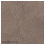 Asia Tile Keramik Lantai 50x50 Frankfurt Series