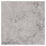 Asia Tile Rodrigo Series Floor Tile 25x25 (Keramik Lantai)