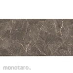 CASANZA Tile Galaxy Polished (Keramik Lantai)