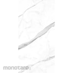 Niro Granite Tile Arctico