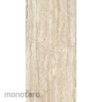 Platinum Keramik Keramik Dinding 25x50 Carter Series (Keramik Dinding)