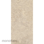Platinum Keramik Keramik Dinding 25x50 Crespo Series (Keramik Dinding)