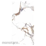 Platinum Keramik Keramik Dinding 30x60 Karol Series