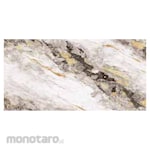 Platinum Keramik Keramik Lantai 30x60 REC Tamara Series