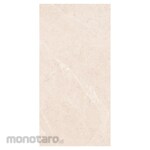 Platinum Keramik Keramik Lantai 30x60 REC Teramo Series