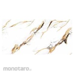 Platinum Keramik Keramik Lantai 30x60 REC Texas Series