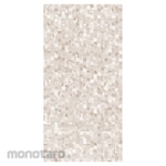 Platinum Keramik Keramik Lantai 30x60 REC Trinity Series