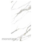 Platinum Keramik Keramik Lantai 30x60 REC Turin Series