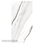 Platinum Keramik Keramik Lantai 40x80 Napoli Series