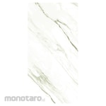 Platinum Keramik Keramik Lantai 40x80 Newton Series