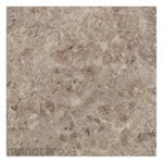 Platinum Keramik Keramik Lantai 50x50 Dallas Series (Keramik Lantai)