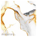 Platinum Keramik Keramik Lantai 50x50 REC Lisboa Series