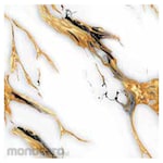 Platinum Keramik Keramik Lantai 50x50 REC Louis Series