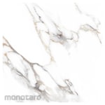 Platinum Keramik Keramik Lantai 60x60 REC Seine Series