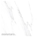 Platinum Keramik Keramik Lantai 60x60 REC Siberian Series