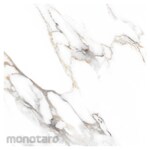 Platinum Keramik REC Seine Series Floor Tile 60x60 (Keramik Lantai)